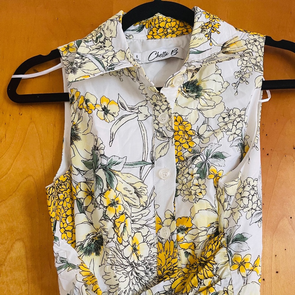 Spring sleeves dress size 6